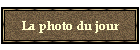 La photo du jour